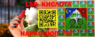 ешки Волгодонск