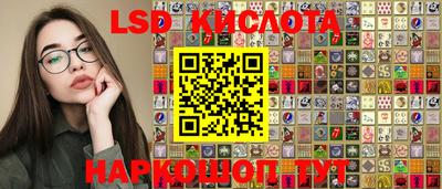 ешки Волгодонск