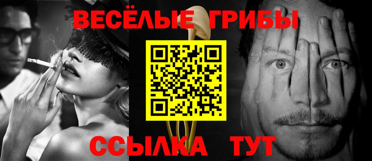 Галлюциногенные грибы Psilocybe Карабулак