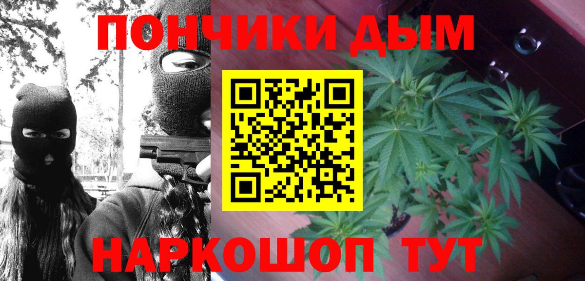 Шишки марихуана ГИДРОПОН Карабулак